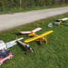 Saisonendfliegen